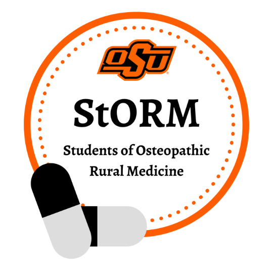 storm logo