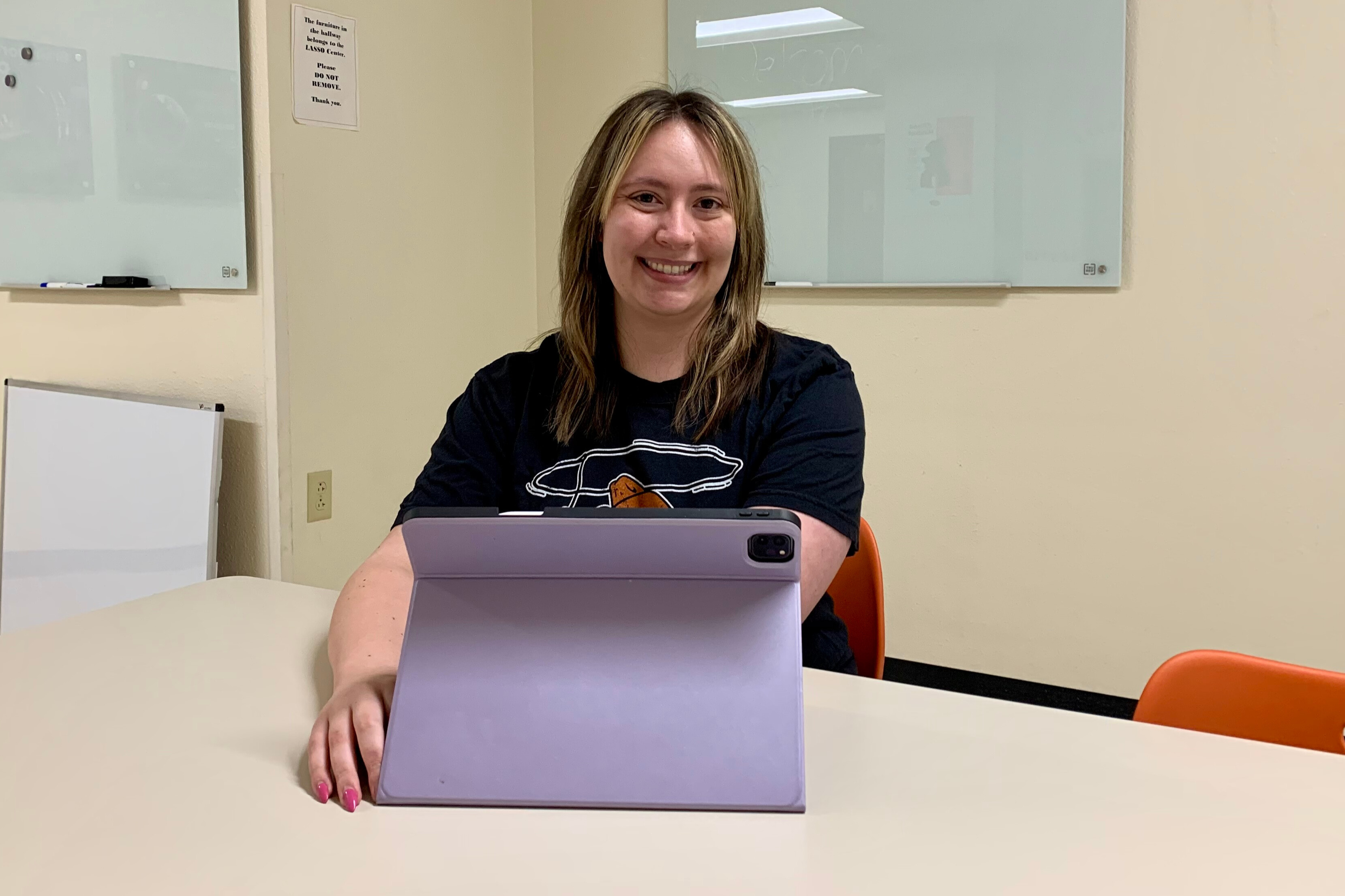 This is alt text for the image